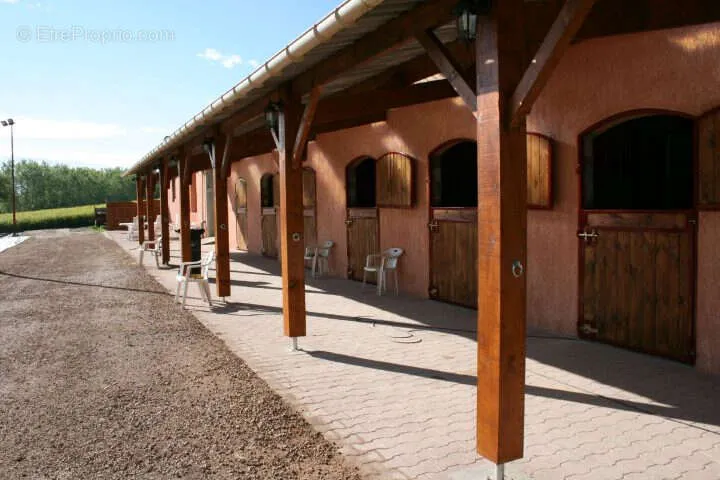 Jardin - Propriété Équestre avec Logements Locatifs près de Lyon