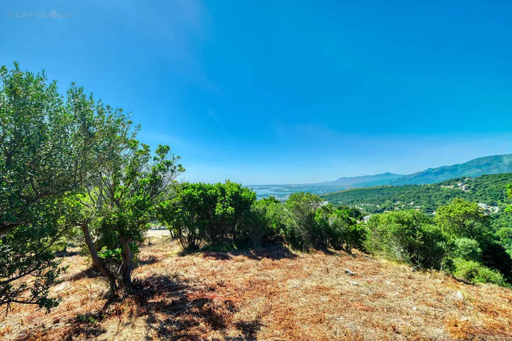 Jardin - Terrain Constructible avec Vues Panoramiques à Bastia