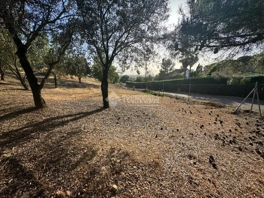 Aed - Rustic Land with Potential in Badajoz