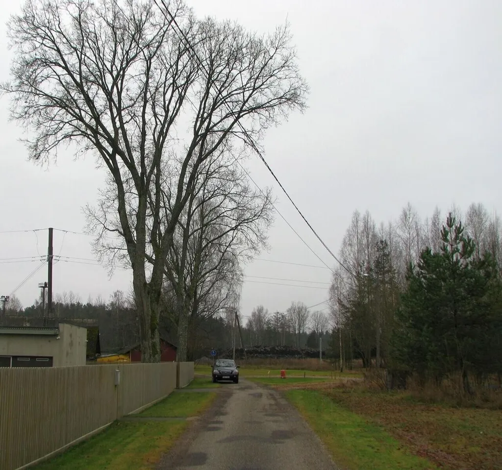 Extérieur - Beautifully Located Plot with Development Potential in Estonia