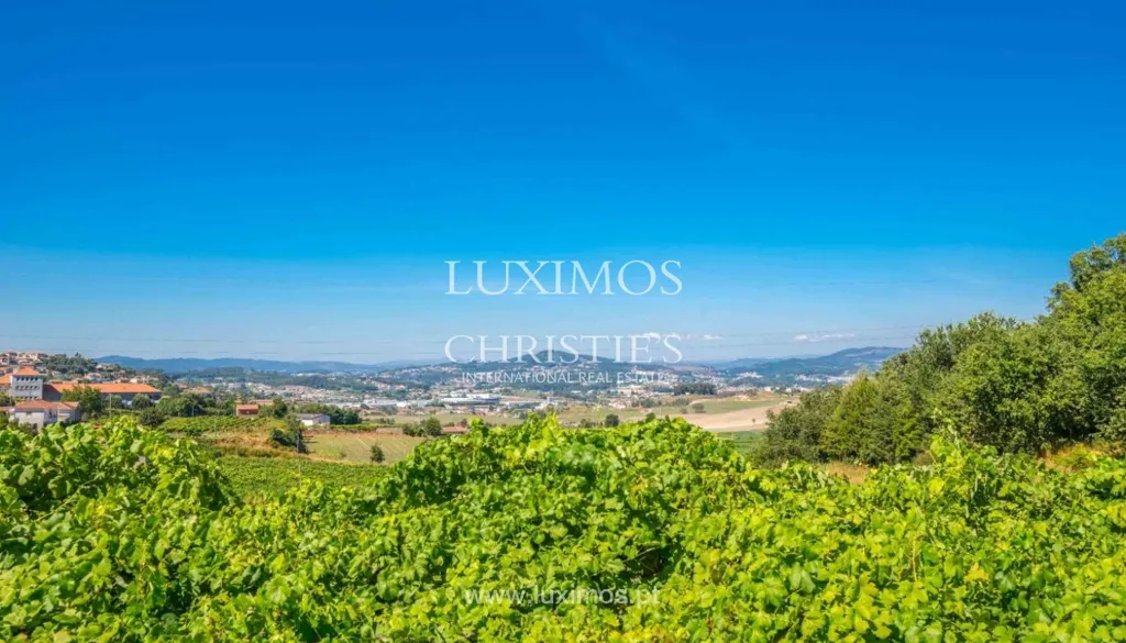 Aed - Secular Solar with Historic Features in Santo Tirso