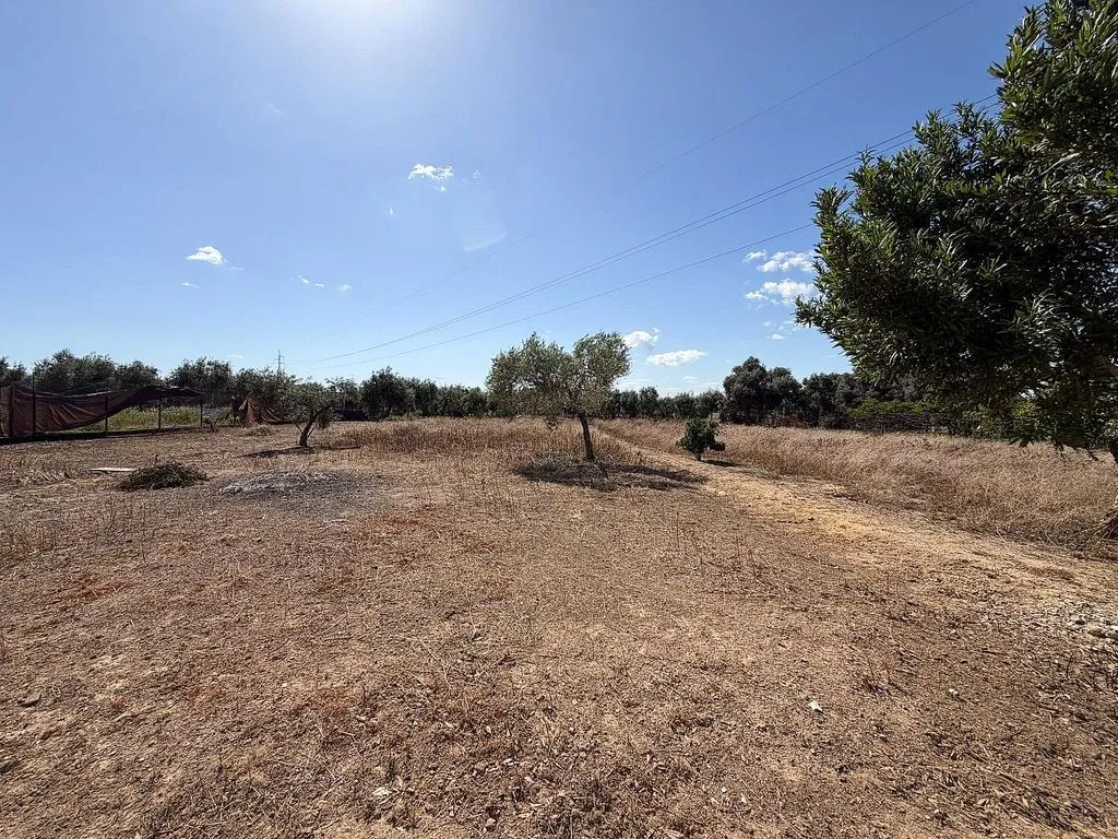 land_plot