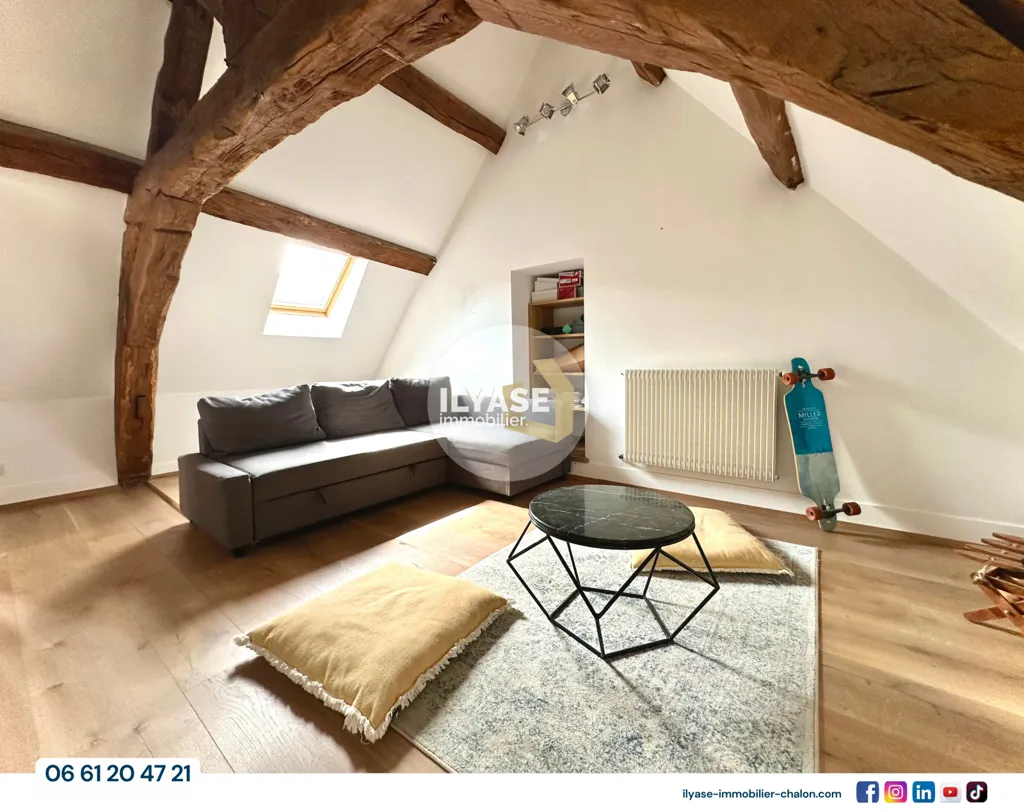 Toad - Character Duplex with Mezzanine in Chalon-sur-Saône