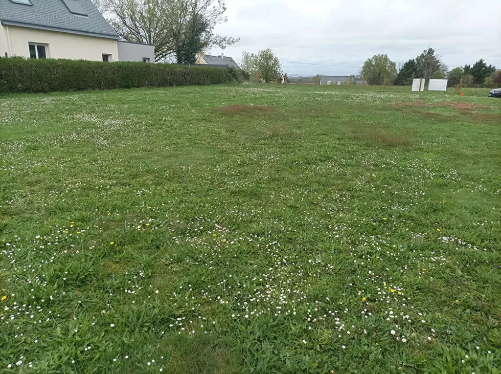 Giardino - 1140 m² Plot with Garden in Pléchâtel