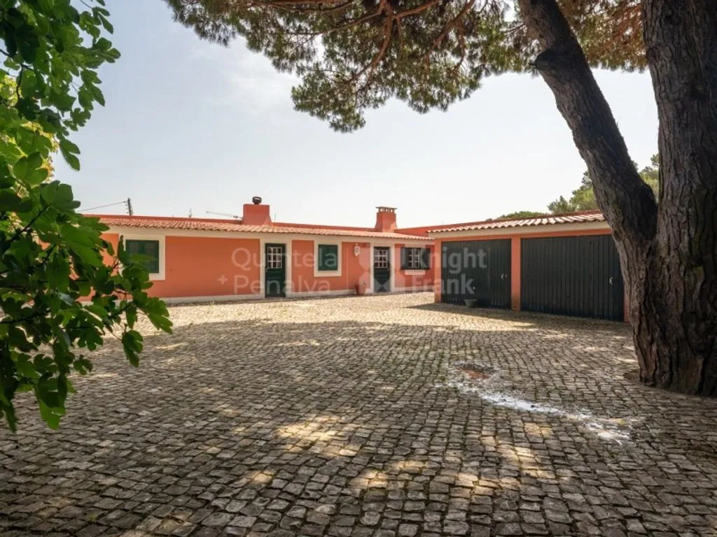 Extérieur - Mediterranean Villa with Garden in Birre, Cascais