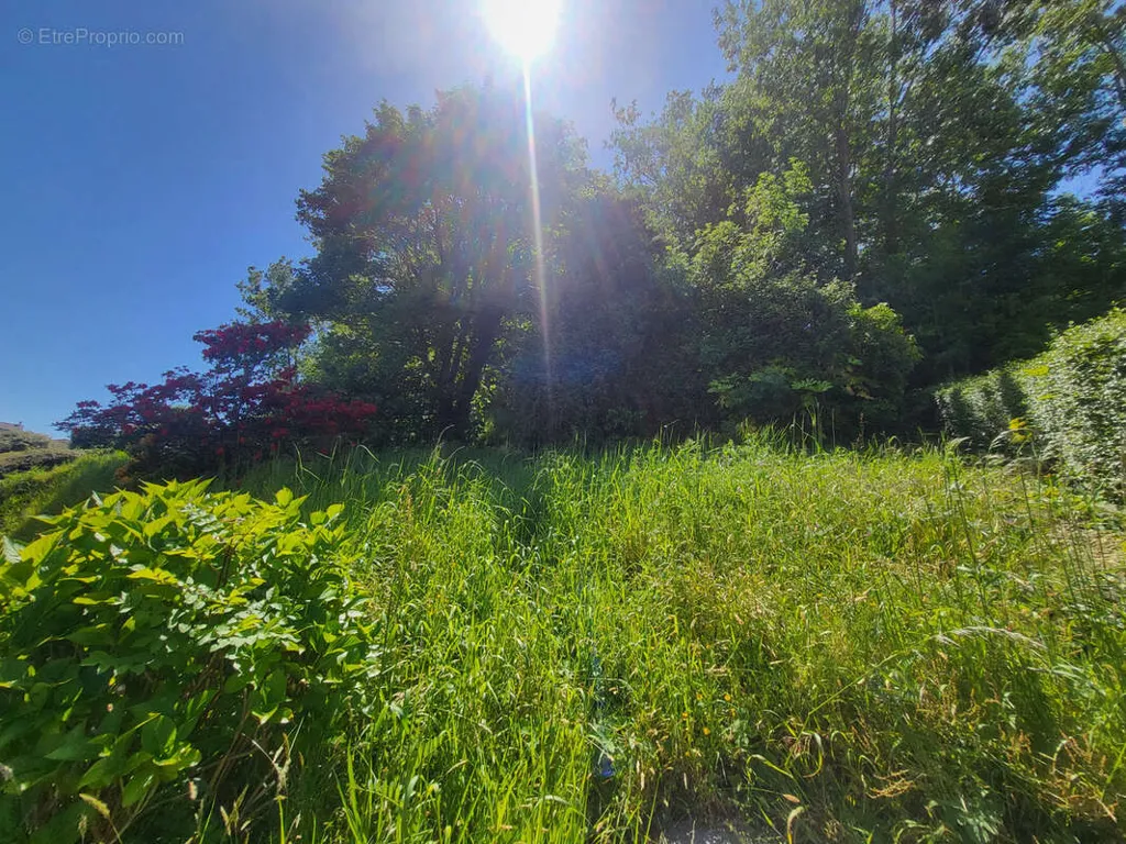 Jardin - Maison au Calme avec Jardin à Saint Léonard