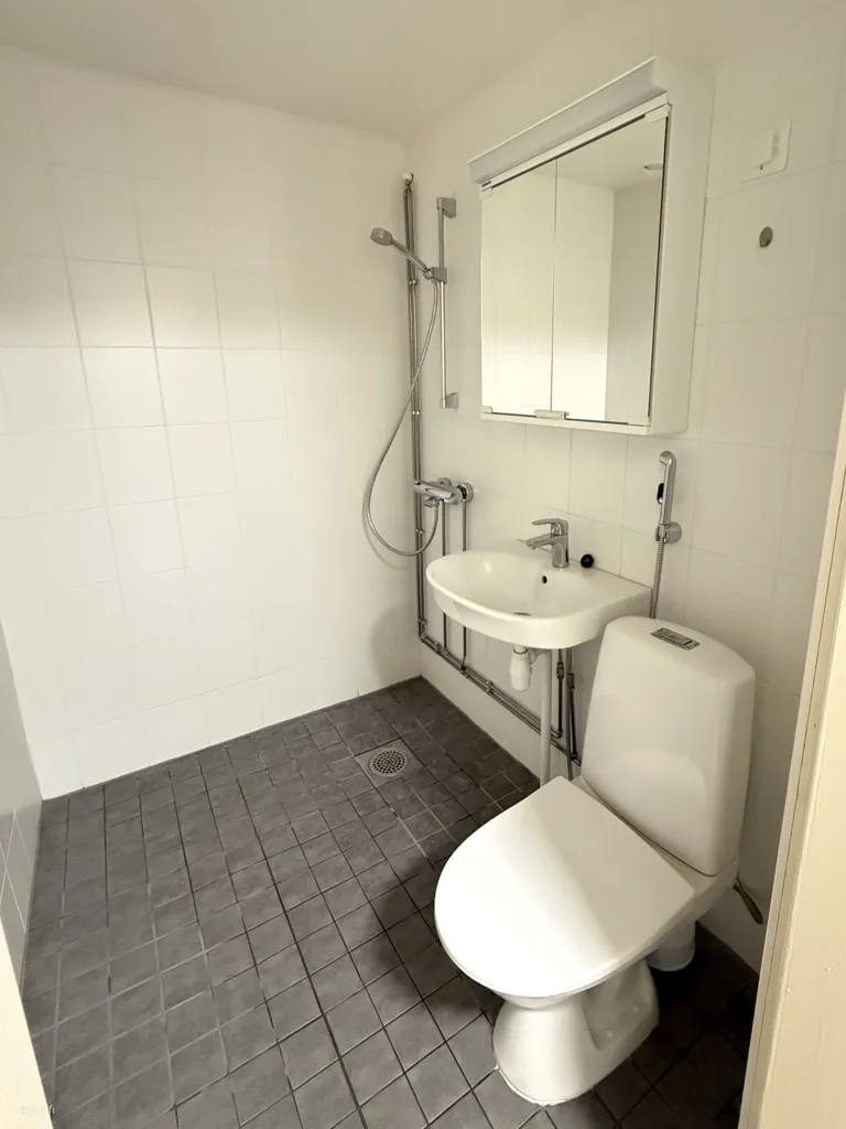 Vannitoad - 1-Bedroom Flat with Garden Access in Karstula
