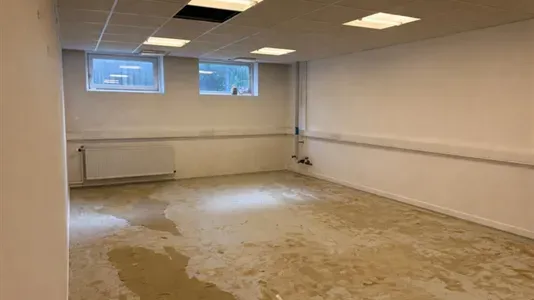 Toad - Office Space with Large Cellar in Brøndby