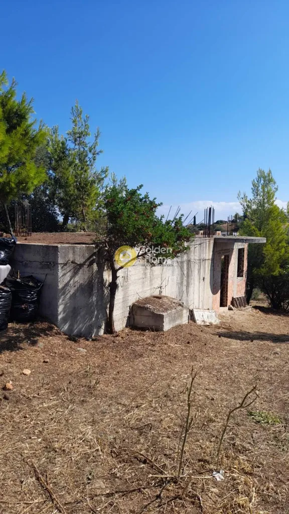 Jardín - Semi-Finished Villa with Garden in Rafina Centre