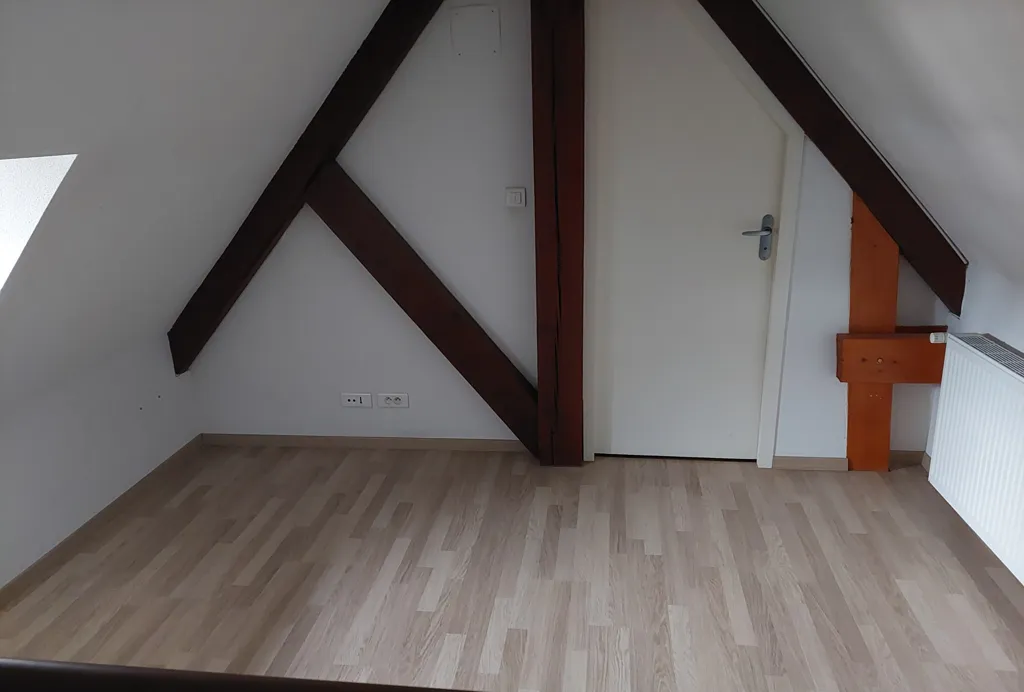 Stanze - Duplex Flat with Tenant in Montbéliard Centre