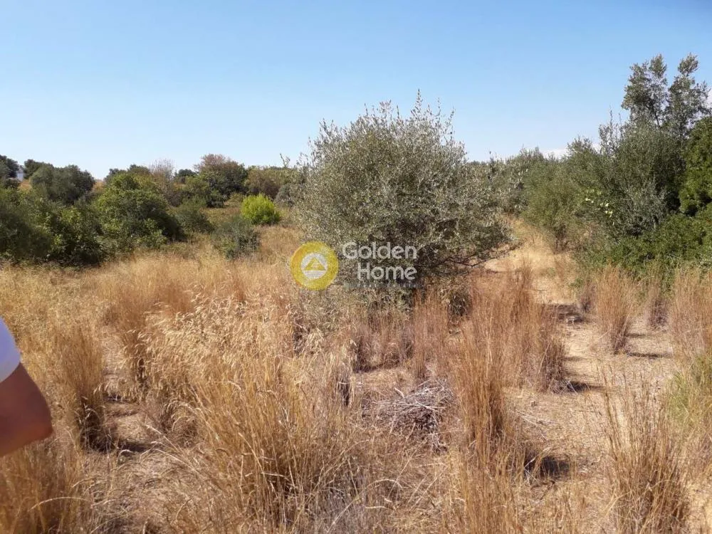 Aed - Agricultural Plot with View in Spata