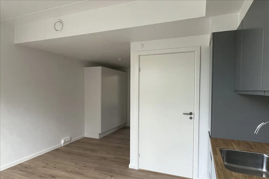 Cuisine - 2-Bedroom Apartment with Modern Design in Søborg