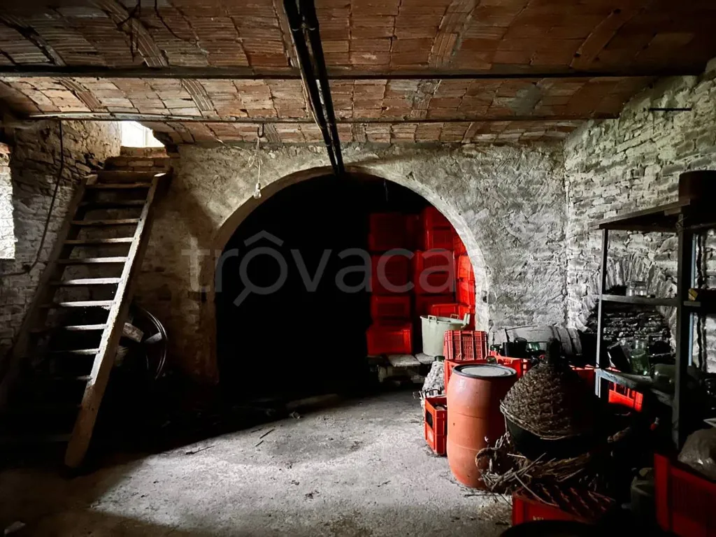 cellar