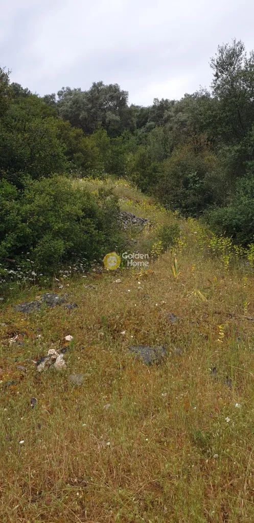 Aed - Agricultural Plot with Mountain View in Lefkada
