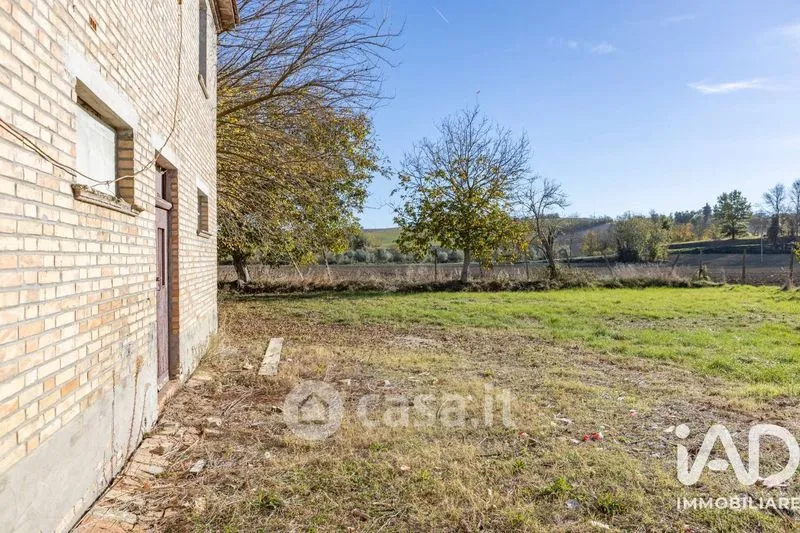 Giardino - Traditional Rustico with Olive Trees in Appignano