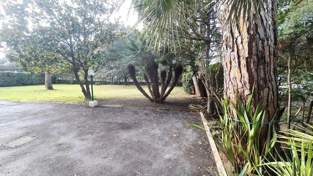 Jardin - Apartment with Sea View in Lido di Camaiore
