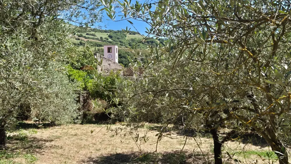 Aed - Rustic House with Olive Grove in Allai