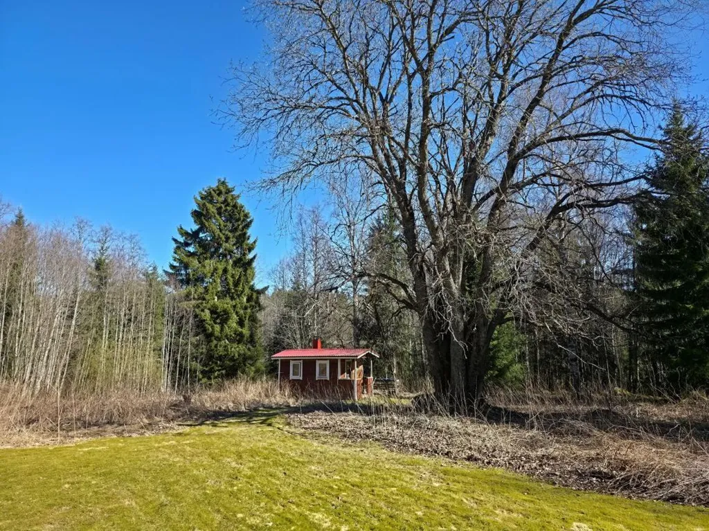 Bien à Ylöjärvi