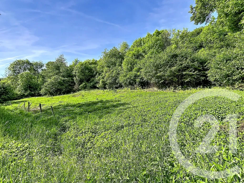 Jardin - Terrain Constructible avec Vue sur Nature à Retournac