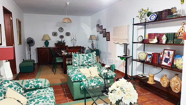 Séjour - Remodelled Quinta with Olive Grove in Avis
