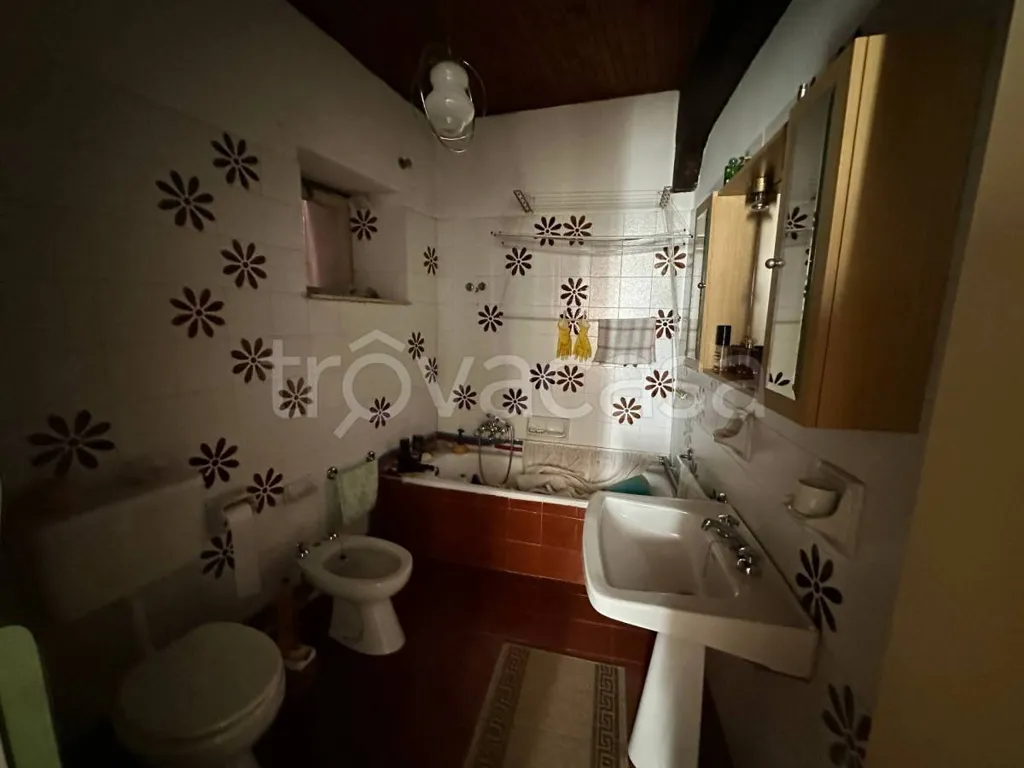 Vannitoad - Historic House with Terraces in Giaveno Centre