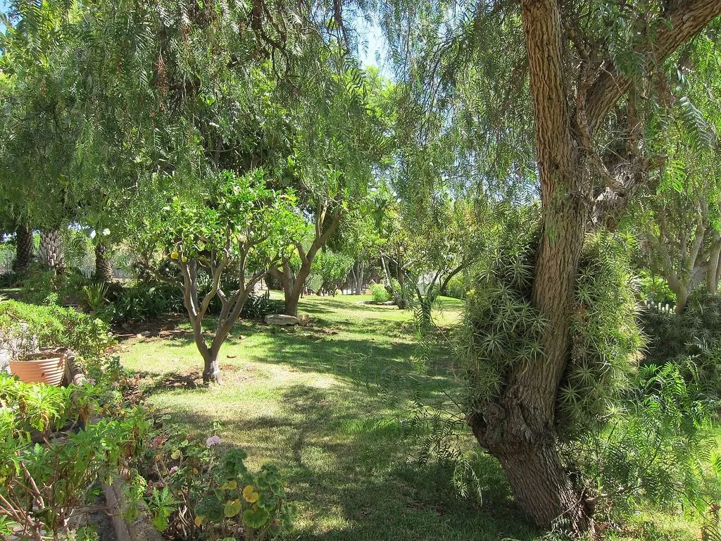 Jardin - Spacious Chalet with Tennis Court in Santa Brígida