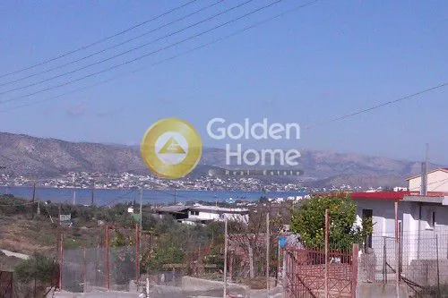 Jardin - Detached House with Garden in Ampelakia Centre