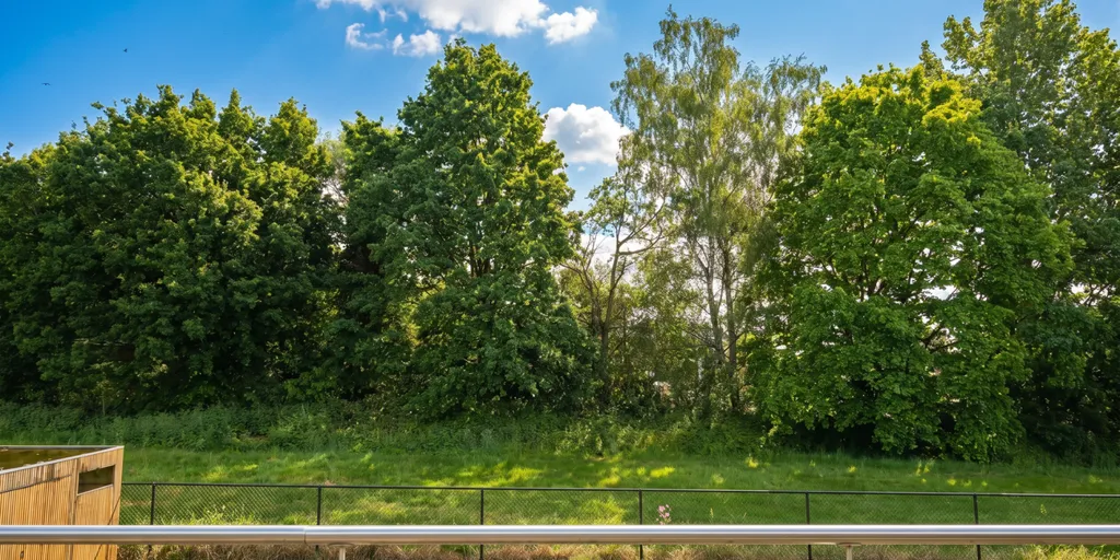 Jardin - Villa moderne avec terrasse à Sterrebeek