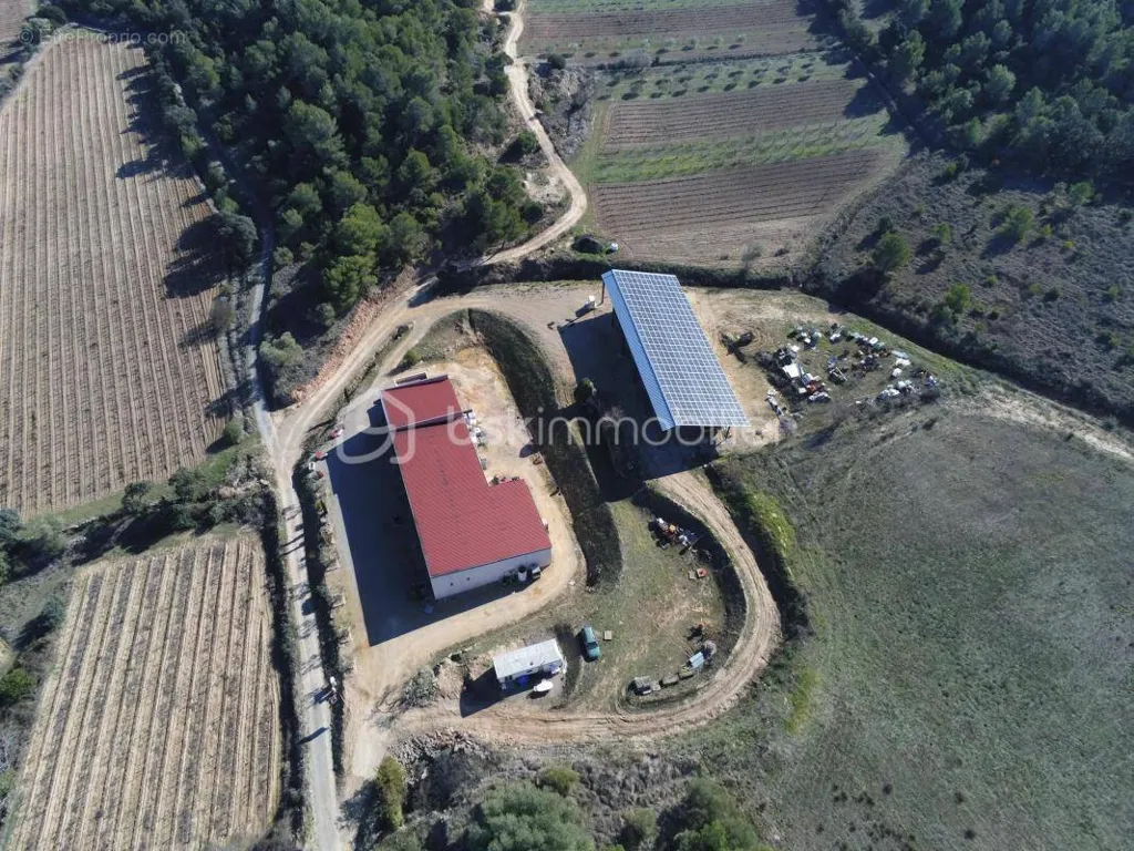 Vista aerea - Agricultural Ensemble with Potential in Minervois