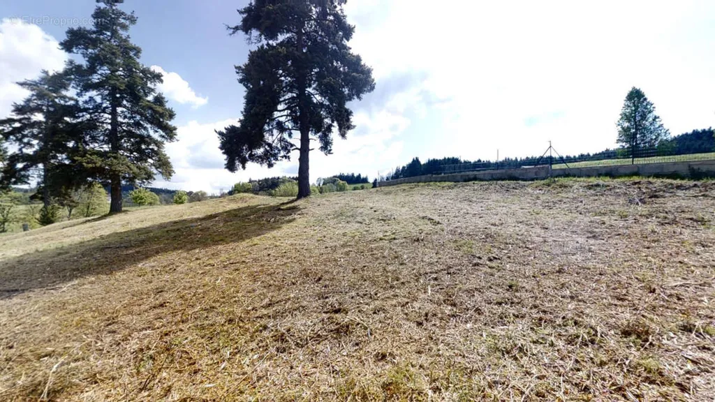 Jardin - Terrain Viabilisé au Calme près de Dunières