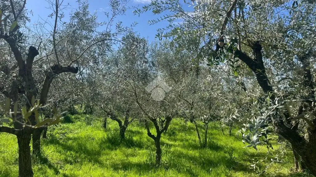 Giardino - Rustic Property with Private Garden in Gallicano Nel Lazio