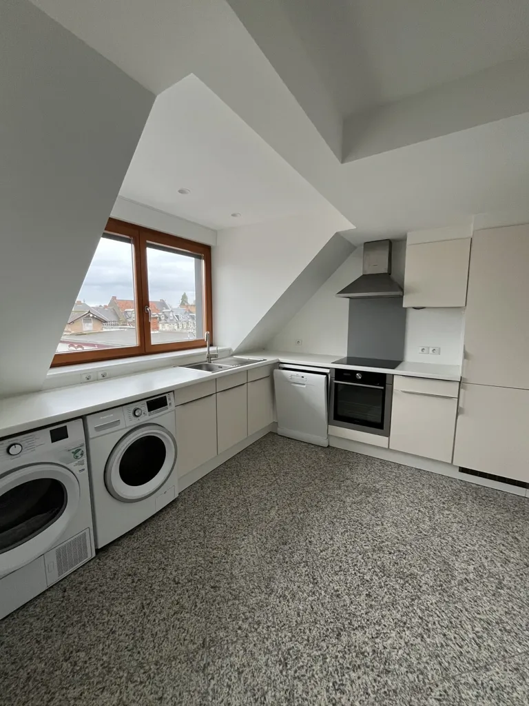 Cuisine - Duplex avec Terrasse à Strasbourg République