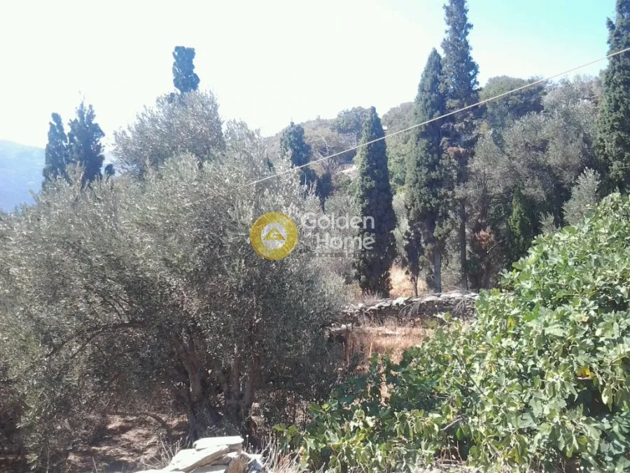 Garden - Amphitheatre Plot for Villa in Andros