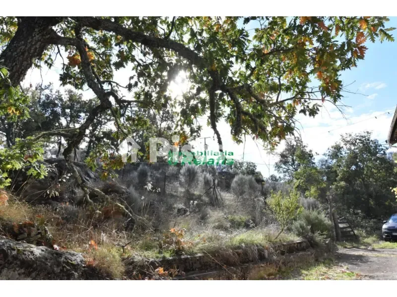 Giardino - Rustic Farm with Thermal Springs in Fuenteguinaldo