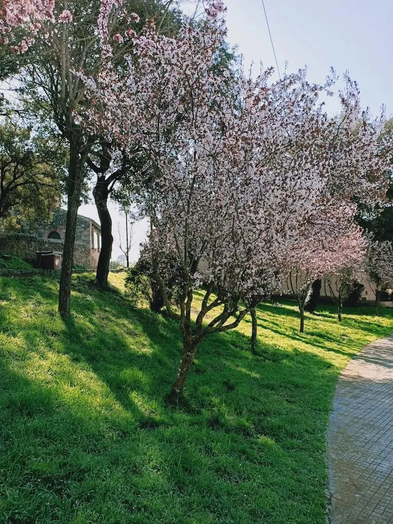 750 m² Plot in Santa Agnès de Malanyanes