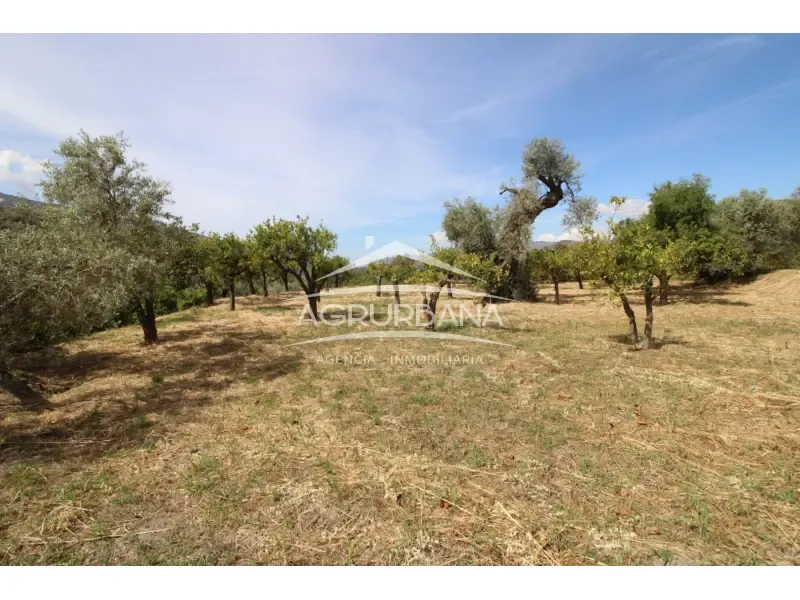 Aed - Rustic Farmhouse with Fruit Trees in Órgiva