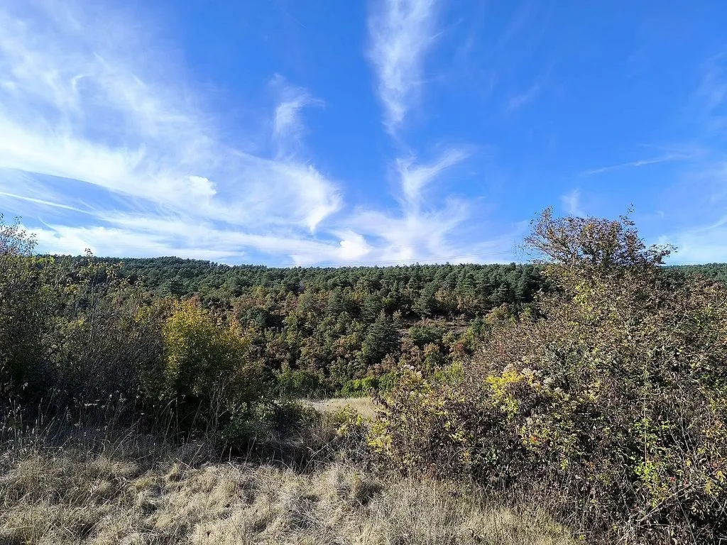 land_plot