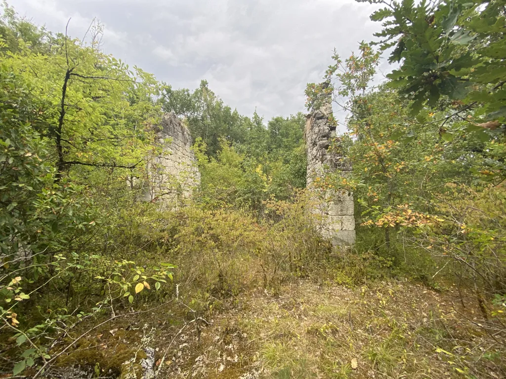 Giardino - Rural Land with Pigeonnier in Dondas