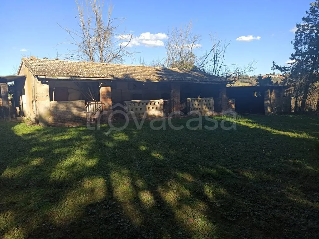 Esterno - Rustic Casale with Panoramic Views near Castiglione del Lago