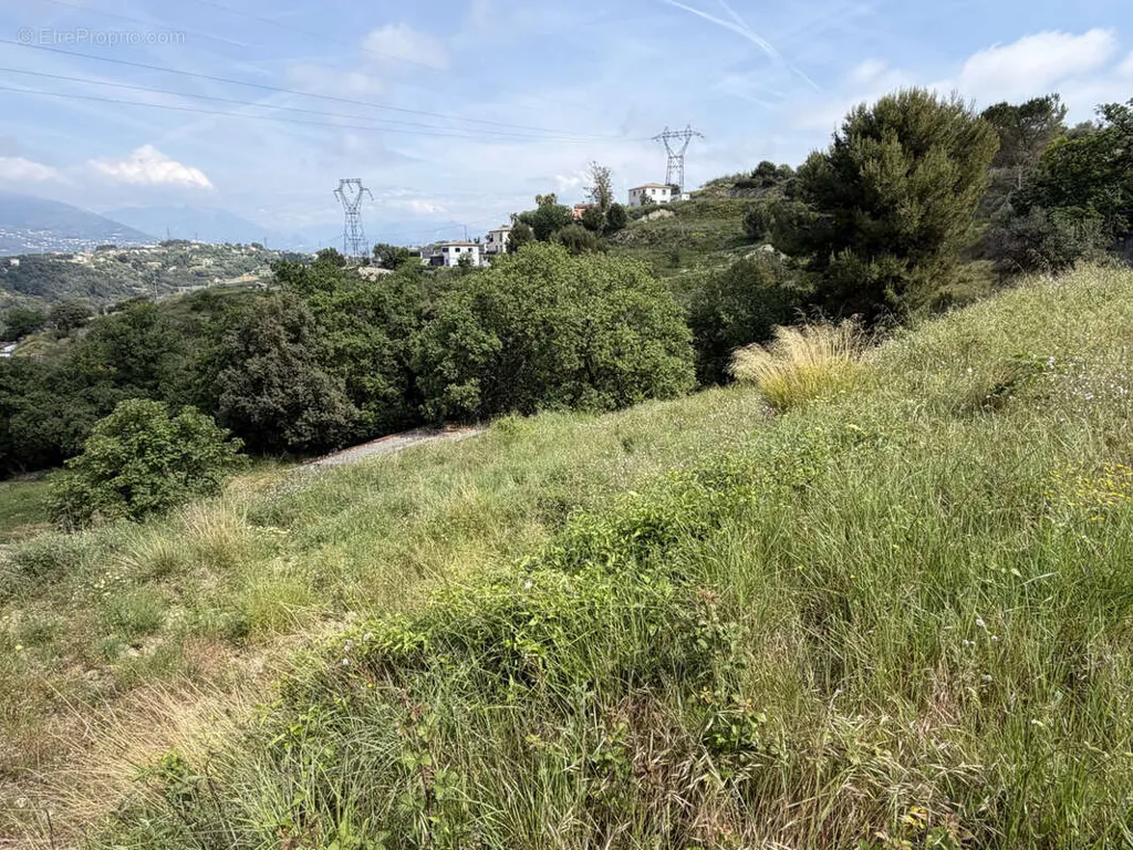 Aed - Large Plot with Panoramic Mountain View in Nice