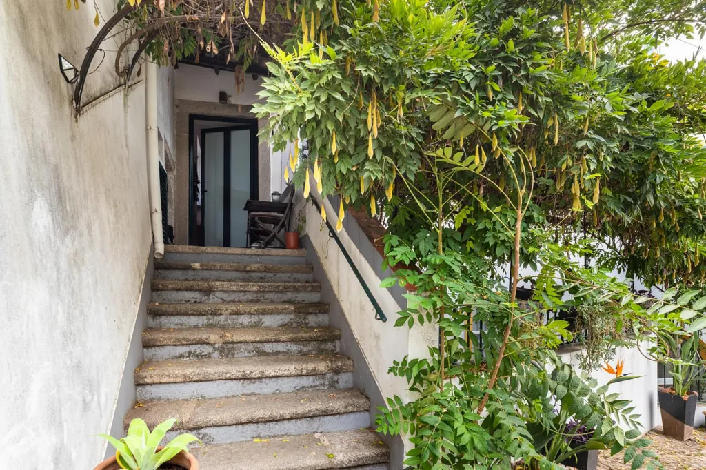 Toad - Historic 5-Bedroom House with Garden in Évora