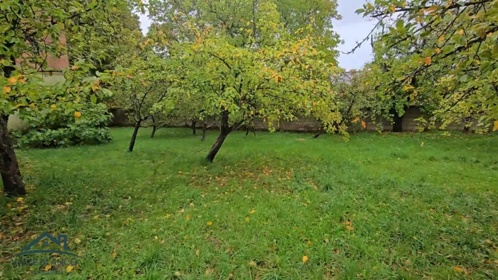 Aed - House with Fruit Garden in Valle de Valdelucio