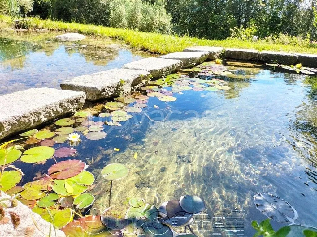 pool_area