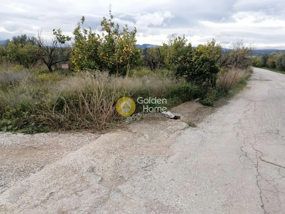 Jardin - Agricultural Plot with Citrus Trees in Tragana