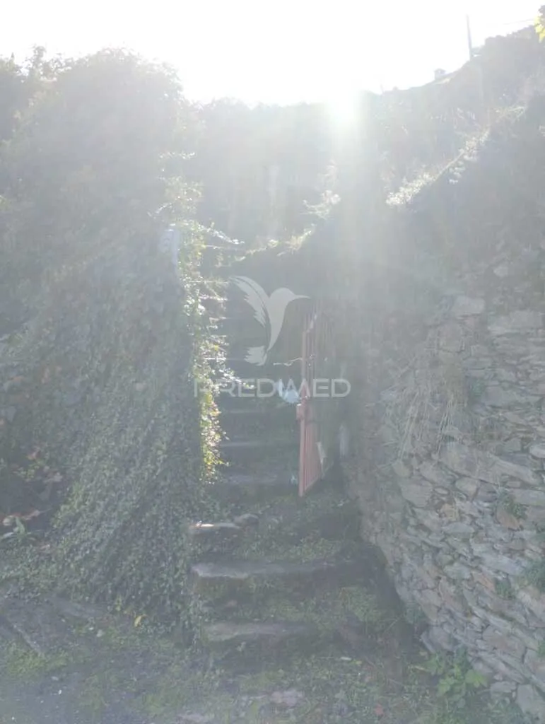 Toad - House with Land for Investment in D'Ouro