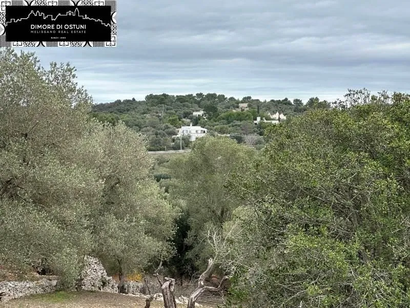 Garden - Saracen Trullo with Olive Grove in Ostuni