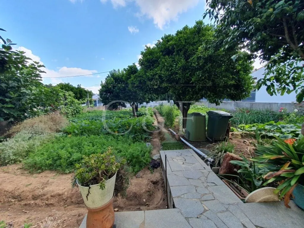 Aed - Luxury House with Garden in Seixal