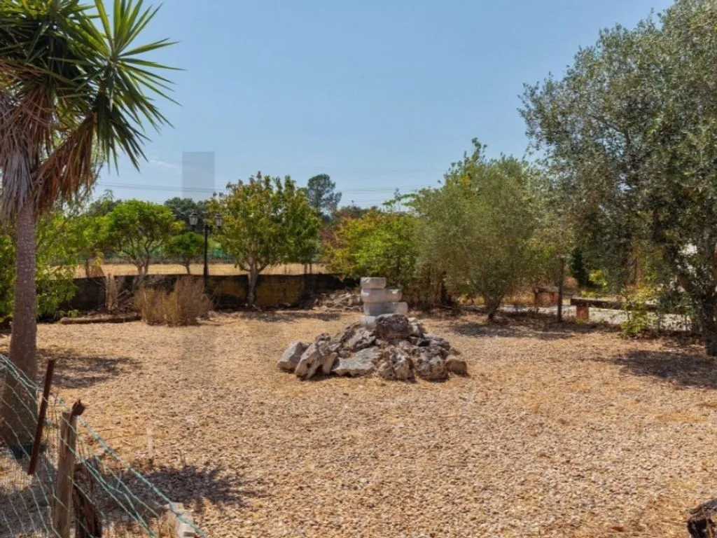 Jardin - Luxury House with Multiple Units in Setúbal