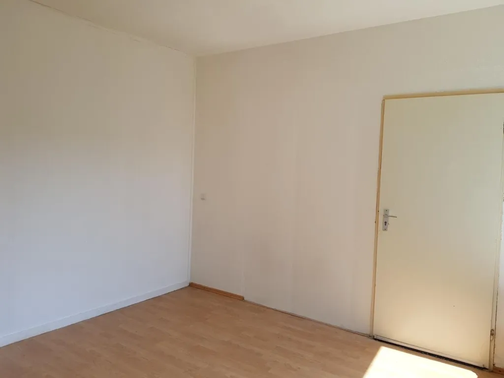 Toad - Spacious Room with Large Windows near Zernike