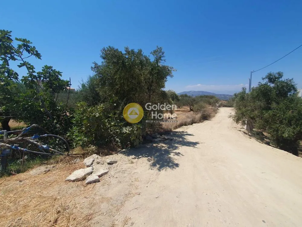 Garden - Olive Grove with 80 Trees in Archanes